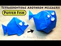 Inflatable puffer fish  arothron meleagris  pure origami