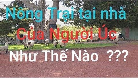 Cuộc sống ở Úc  : Vào nông trại tại nhà của người ÚC mua gà về nuôi