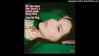 Taco Truck x VB - Lana Del Rey Instrumental Filtered