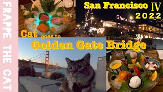 [2022]Balinese cat goes to San Francisco / Golden hour at the Golden Gate Bridge by Frappe the cat 24 views 2 years ago 9 minutes, 41 seconds