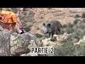 Chasse sanglier au maroc 2021 - Hunting wild boar - احاشة صيد الخنزير البري