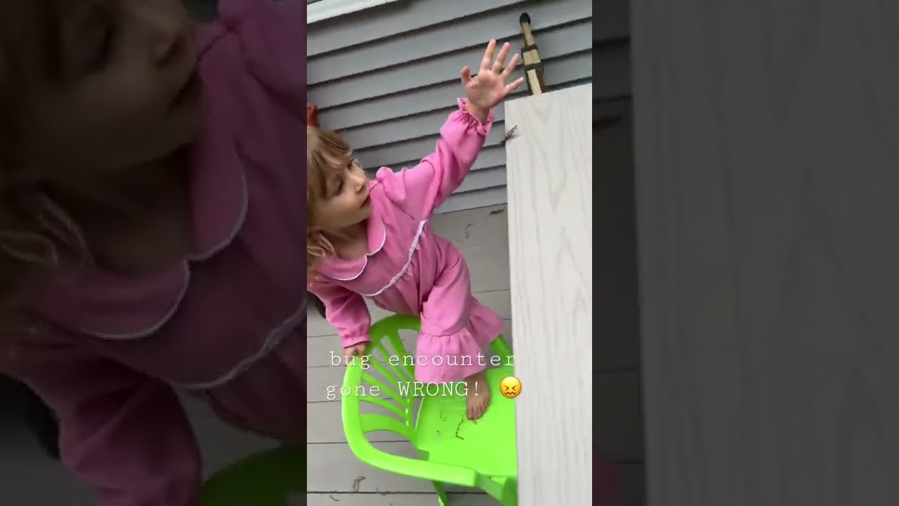 Lily Just Said It S Gone 