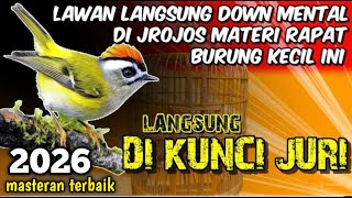 Download Lagu KOMBINASI MASTERAN PALING DI CARI JURI || murai batu kacer cucak ijo MP3