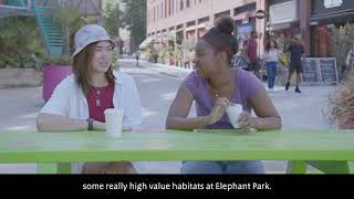 Elephant Park, London
Elephant Park, London- Ewan Oliver from Lendlease talks about the redevelopment of Elephant Park in London and how they achieved a good UGF: Urban Greening Factor, which is one of the headline standards of the GI Framework. The film illustrates why Green infrastructure requires a different approach to masterplanning. Elephant Park, London