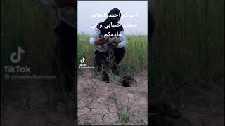 شاهدو جراء الذائب في العراق اشترك في القناة يلغالي اخوكم احمد المغامر