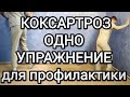 Одно упражнение для профилактики КОКСАРТРОЗА и здоровья тазобедренных суставов