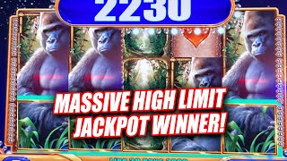 MASSIVE BONUS WINS ON HIGH LIMIT QUEEN OF THE WILD ➜ INSANE JACKPOT WINNER