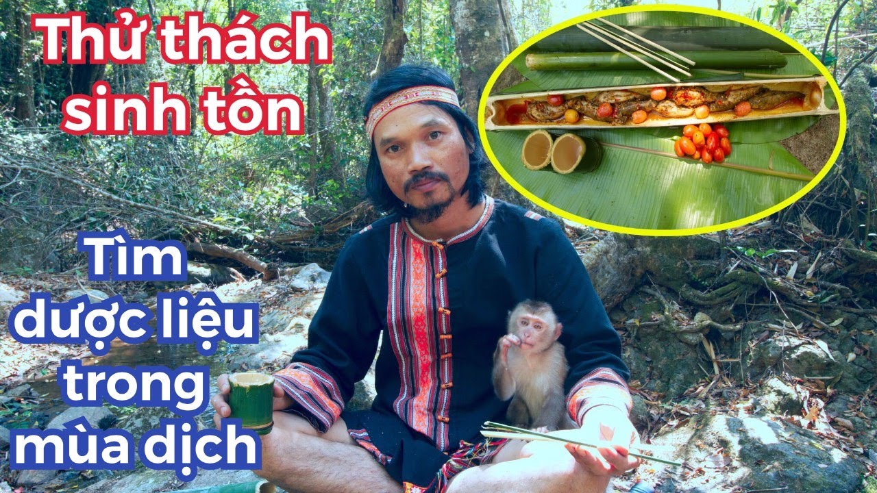 Phần 1 Thử Thách Sinh Tồn Và Tìm Dược Liệu Bữa Cơm đầu Tiên Với Món Cá Bống Kho Siêu Ngon