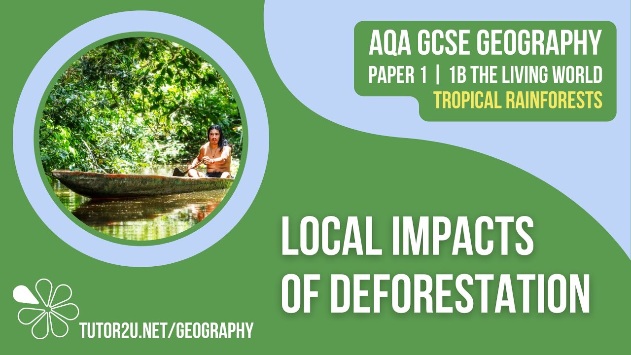 Local Impacts of Deforestation AQA GCSE Geography Tropical