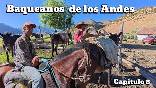 Como son las Veranadas de la cordillera Arrieros de la Cruz y del cajón de la Rusia me cuentan más d