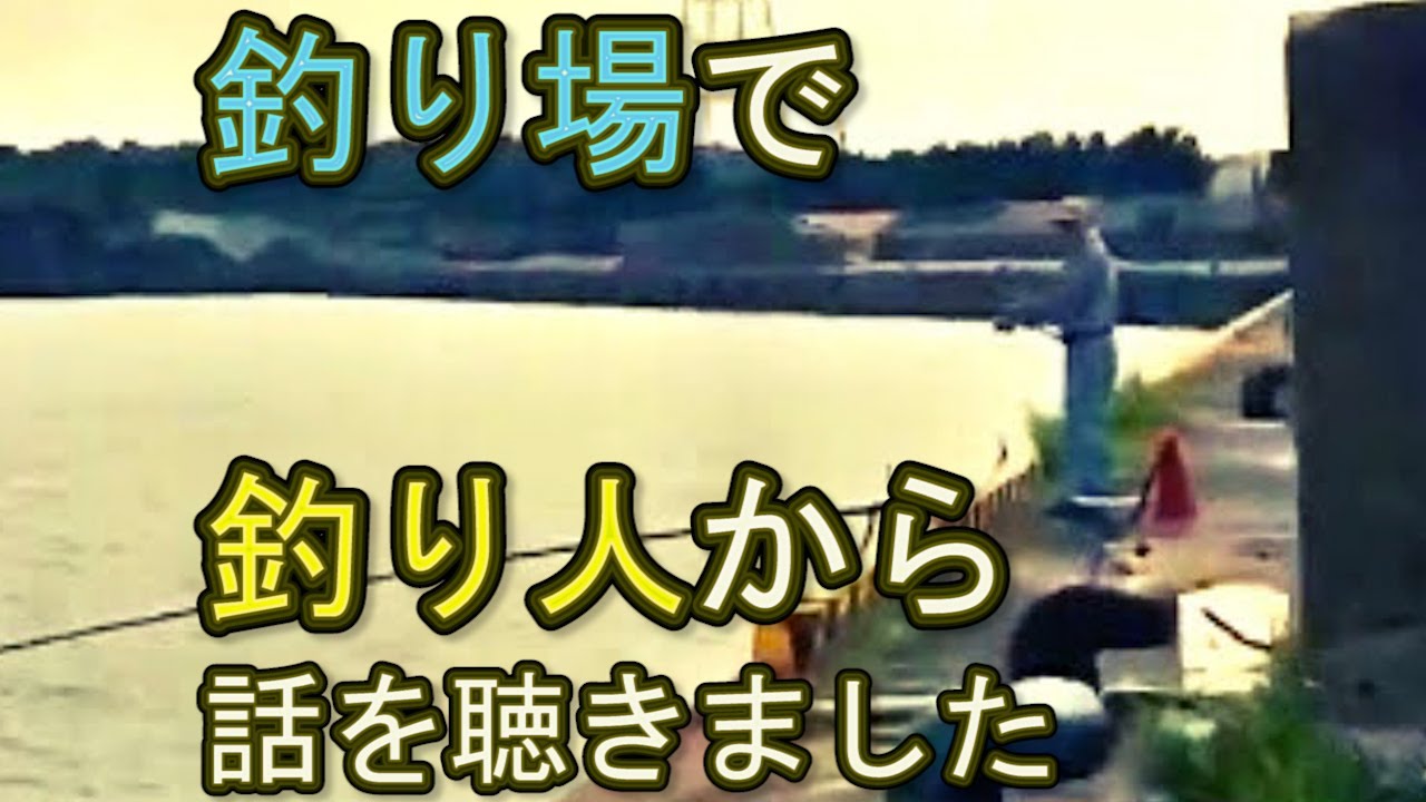 夜景 大分 釣り 通称大在ディズニー 大野川河口 大分 Youtube 夜景 大分 釣り 通称大在ディズニー 大野川河口 大分 Youtube