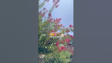 grwm+pool!🌅🌞🌺🌴qotd: fav season?? #shorts #viral #trending #preppy #grwm #fyp #summer #skincare