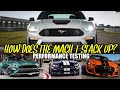 Testing the 2021 Mustang Mach 1 against the Shelby GT350, GT500 and Mustang Bullitt.