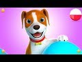 bingo psa | Polskie Piosenki Dla Dzieci | Kołysanki | Filmy Dla Dzieci | Bingo The Dog |