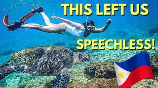 UNFORGETTABLE encounter at APO ISLAND - Philippines Travel Vlogs