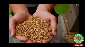 Blowing wind| part 1| Class 2| Science| Holy Heart Schools