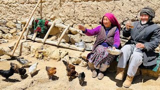 Hard Life Of Elderly Couple’s in the Mountain:Unique Village life of Afghanistan