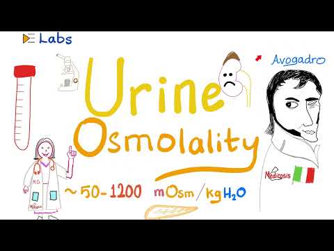 Video: Hoe om urine-osmolaliteit te bereken?