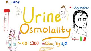 Urine Osmolality (Osmolarity) & Urine Osmolar Gap | ADH | Labs 🧪 | Clinical Pathology & Pathophys.