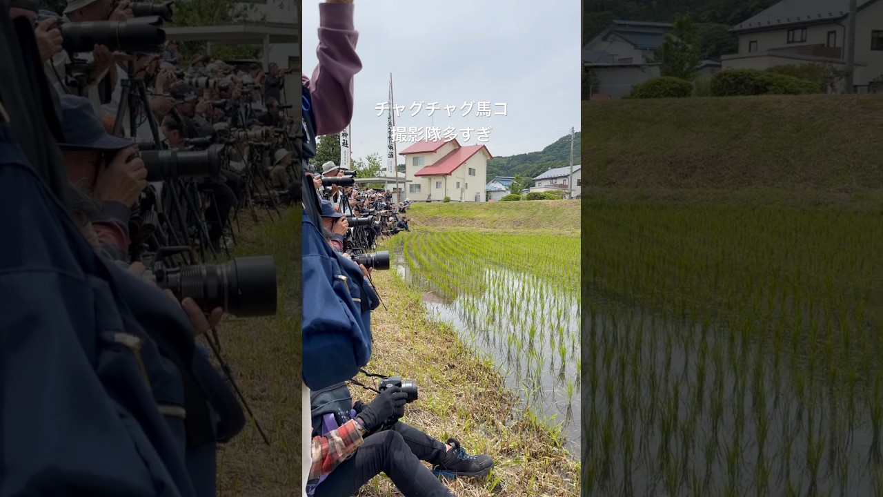 #チャグチャグ馬コ #鬼越蒼前神社 #盛岡八幡宮 #vlog #旅行