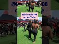 Sexy Shape  Daddy Lumba One Week Observation in Accra | Tribute #DaddyLumba #Ghana #shorts