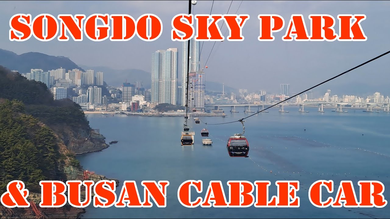 walking-tour-busan-songdo-sky-park-and-cable-car-adventure