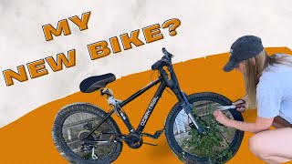 Can I salvage this bike for the Katy Trail??
