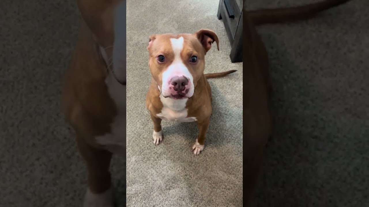 @tybabie_: Anyone care to translate? 