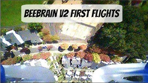 Beebrain V2 first flights