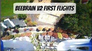 Beebrain V2 First Flights