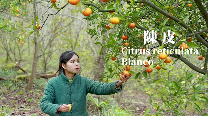 Orange harvest, I put it into tangerine peels, so ...
