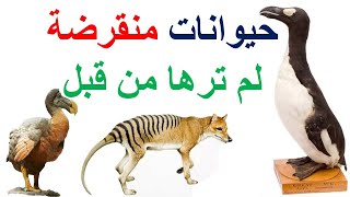 حيوانات منقرضة لم ترها من قبل