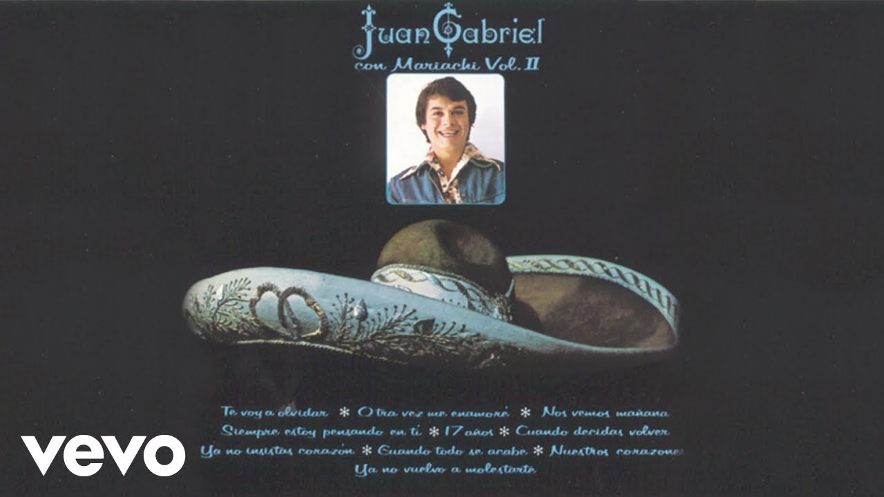 Juan Gabriel - Te Voy a Olvidar (Cover Audio) Juan Gabriel - Te Voy a Olvidar (Cover Audio)