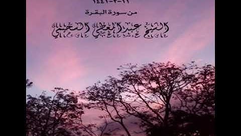 تلاوة من صلاة المغرب في مسجد القبلتين ١١-٢-١٤٤١ من سورة البقرة الشيخ عبدالمعطي السحيمي