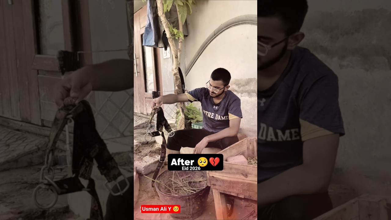 Before and after Bakra Eid 2026 🥺💔  #emotional #sad #bakraeid #qurbani #cow #eiduladha2026