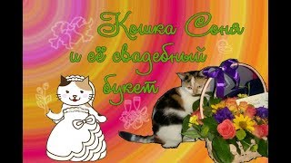 Кошка Соня словила свадебный букет! Кошка Соня словила свадебный букет!