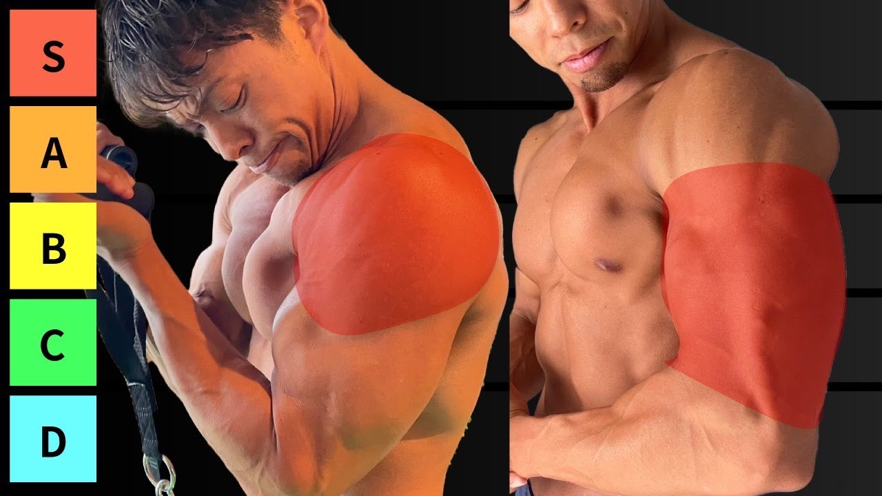 効率良く筋肉をつける上で最強の筋トレ種目は？【肩腕トレーニングティアリスト】