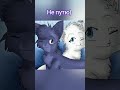 Синяя звезда и Белогривка✨ КВ.