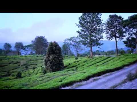 MP3 POP MANDARIN INDONESIA asik full MUSIK