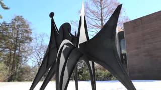 'Calder on Campus'