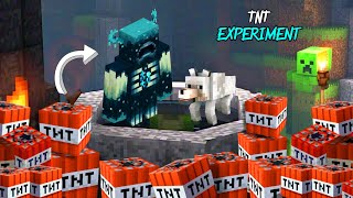 minecraft tnt experiment v284 #minecraft #meme #memes #shorts #shortvideo