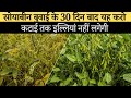 सोयाबीन में इल्ली की दवा | 30 दिन बाद यह स्प्रे करें, जड़ से खत्म होगी इल्ली | Soybean Pest Control