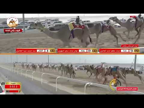 الشوط 3 كأس الحقايق بكار انتاج التزام ل حمد محمد عبيد العامري 4 18 66 مهرجان الظفرة 2025