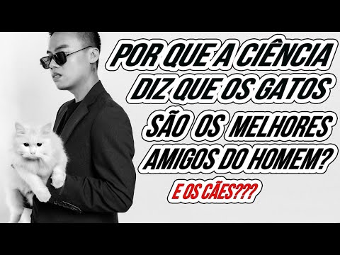 Vídeo: 16 cães que fariam treinadores pessoais horríveis