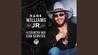 Video thumbnail of "Hank Williams Jr. - Good Friends, Good Whiskey, Good Lovin'"