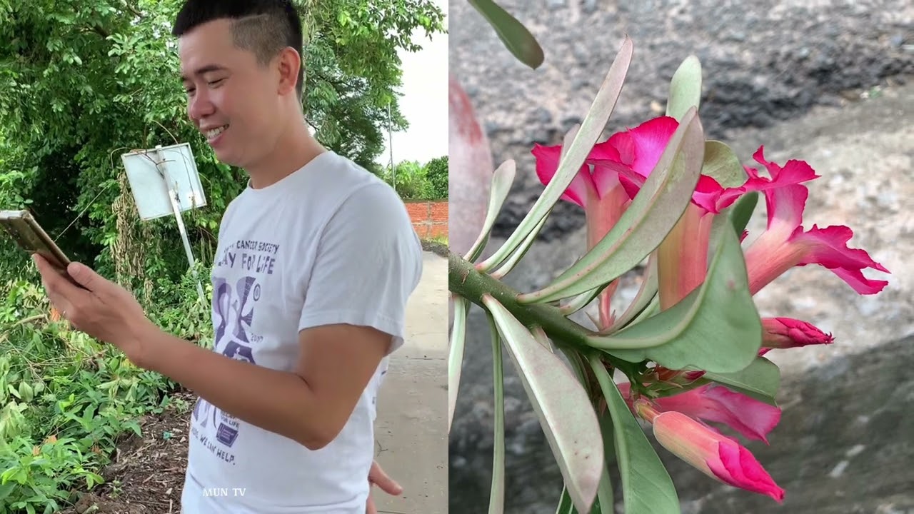 Hài miền tây hay nhất mun tv, những tình huống khó đỡ