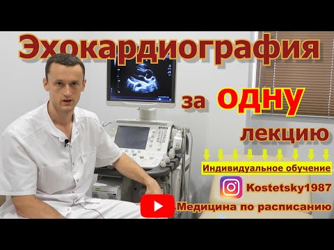 Провожу индивидуальное обучение по УЗИ сердца.