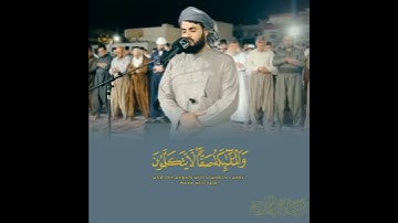 قارئ : رعد الكردي | [ سورة النبأ ] ماشاءالله 😍