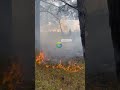🆘 В районе стадиона «Спартак» горит лес. На месте работают пожарные расчеты.