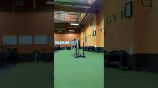 Sled TRX Row